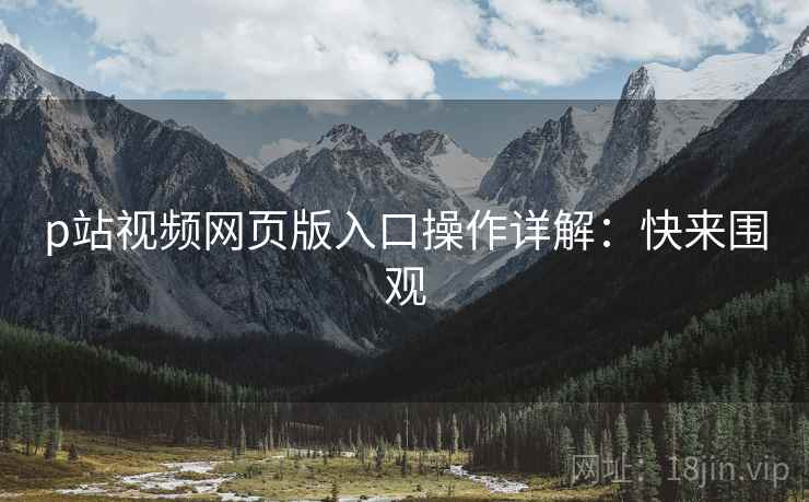 p站视频网页版入口操作详解：快来围观