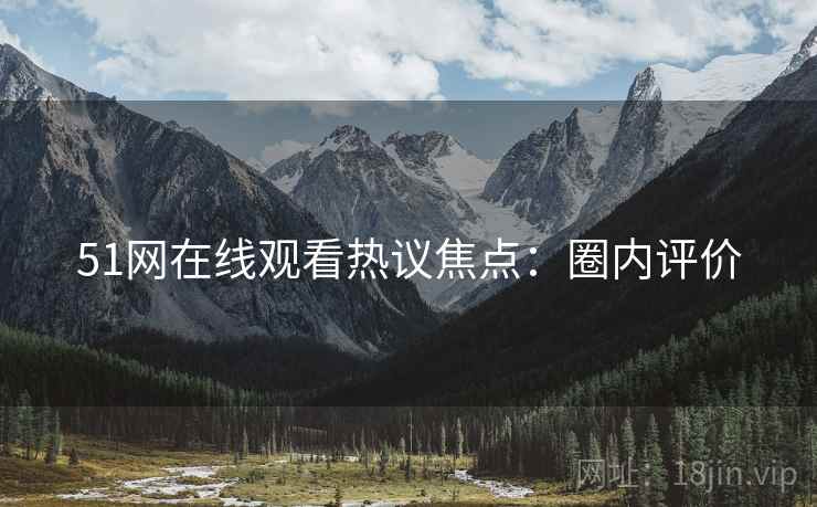 51网在线观看热议焦点：圈内评价