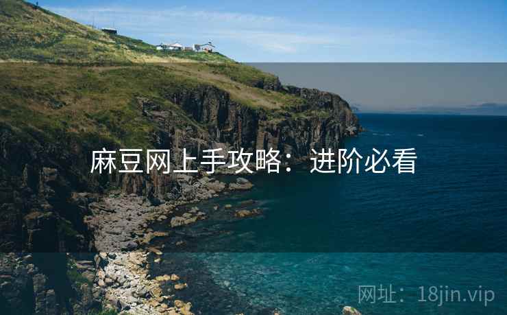 麻豆网上手攻略：进阶必看