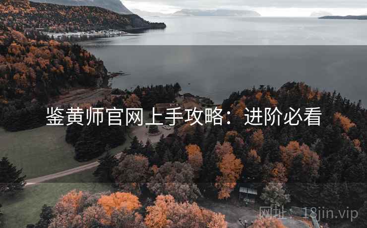 鉴黄师官网上手攻略：进阶必看