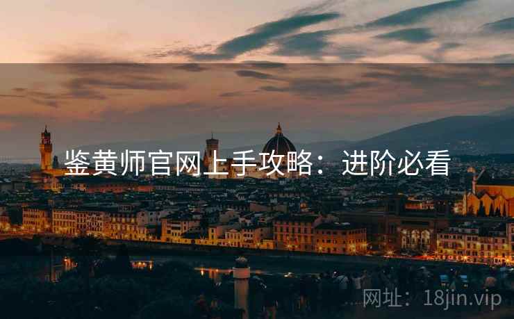 鉴黄师官网上手攻略：进阶必看