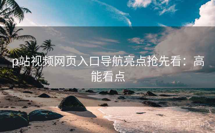 p站视频网页入口导航亮点抢先看：高能看点