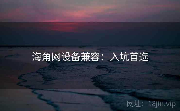 海角网设备兼容：入坑首选