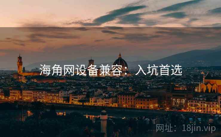 海角网设备兼容：入坑首选